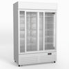 AG 1101L Double Sliding Door Upright Display Fridge - Glass Door DF1100WL-SD