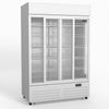 AG 1101L Double Sliding Door Upright Display Fridge - Glass Door DF1100WL-SD