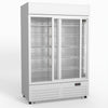 AG 1101L Double Sliding Door Upright Display Fridge - Glass Door DF1100WL-SD