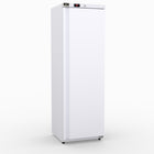 AG Equipment 293L Upright Single Door Freezer F400V