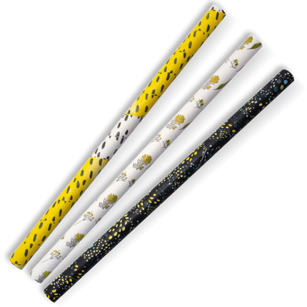 BioPak JP-PBS-10X197-ART 10mm jumbo paper straw art series