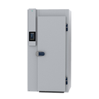 Friginox MX1LSTS7-CF - 1 Tray Roll-in Blast Chiller / Freezer