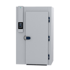 Friginox MX29-STS7-C - 2 Tray Roll-in Blast Chiller