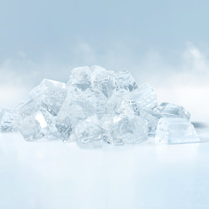 Hoshizaki Flake Modular Ice Machine - 730kg FM-1000AKE-SB