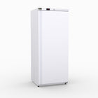 AG Equipment 600L Upright Single Door Ventilated Fridge AG-R600V