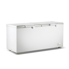 Thermaster 600L Chest Freezer With Stainless Steel Lid BD600F