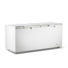 Thermaster 750L Chest Freezer With Stainless Steel Lid BD750F