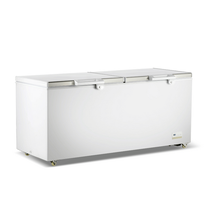 Thermaster 750L Chest Freezer With Stainless Steel Lid BD750F