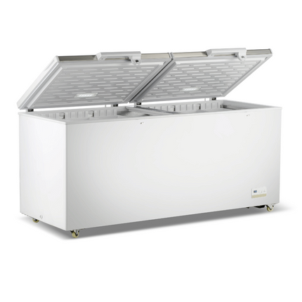 Thermaster 750L Chest Freezer With Stainless Steel Lid BD750F