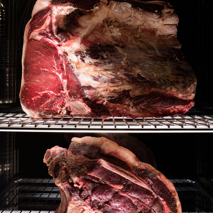 Everlasting Dry Age Meat Cabinet Panorama DAE1502