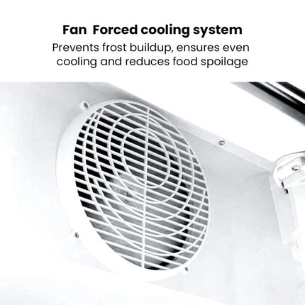 Thermaster 1000L Large Two Glass Door Colourbond Upright Drink Fridge LG-1200P