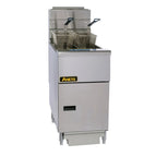 1 Fryer