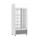 Thermaster 580L Double Glass Door Colourbond Upright Drink Fridge LG-580P - LG-580P